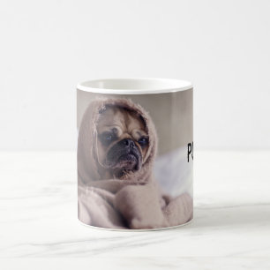 Carlin dans la tasse couvrante
