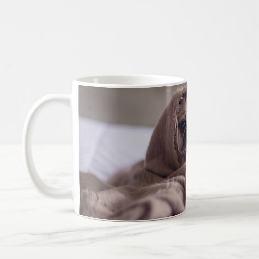 Carlin dans la tasse couvrante (Gauche)