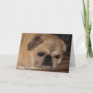 Carlin de carte de sympathie d'animal familier