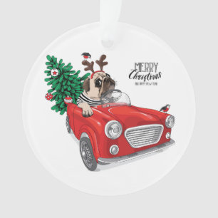 Carlin du Joyeux Noël conduisant la voiture