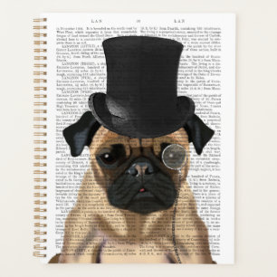 Carlin, Hound officiel et Casquette