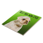 Carlin Maman Carreaux céramiques (Côté)