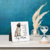 Carlin Maman Plaque (Insitu)