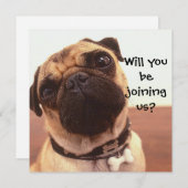 Carlin mignon chien Invitations de fête personnali (Devant / Derrière)
