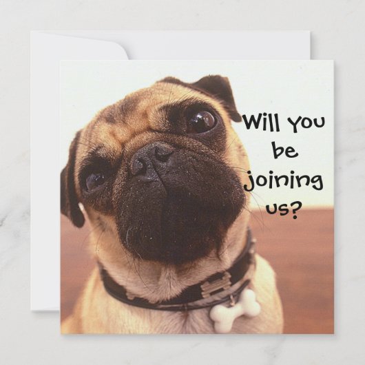 Carlin mignon chien Invitations de fête personnali (Devant)