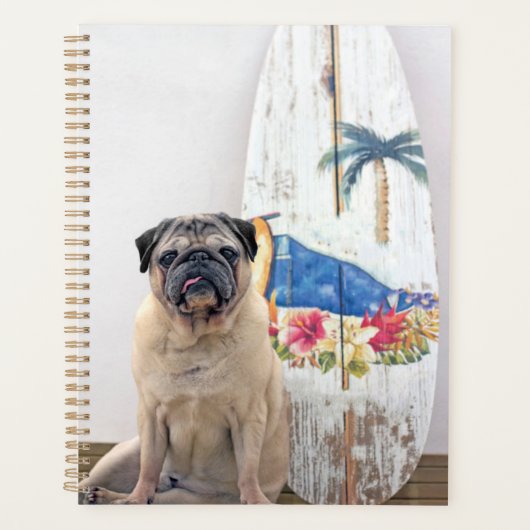 Carlin surf (Devant)