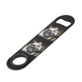 carlins aux yeux bleus (Devant angulaire)