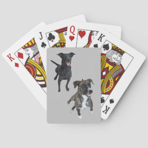 Carlos honden pokerkaarten