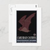 Carlsbad Caverns Briefkaart (Voorkant / Achterkant)