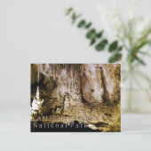 Carlsbad Caverns Briefkaart (Staand voorkant)