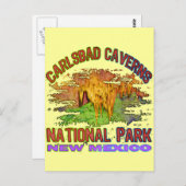 Carlsbad Caverns National Park, New Mexico Briefkaart (Voorkant / Achterkant)