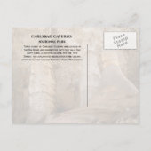 Carlsbad Caverns NP Carte postale Giant et Twin Do (Dos)