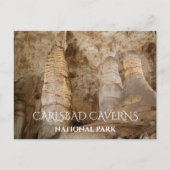 Carlsbad Caverns NP Carte postale Giant et Twin Do (Devant)