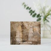 Carlsbad Caverns NP Carte postale Giant et Twin Do (Debout devant)