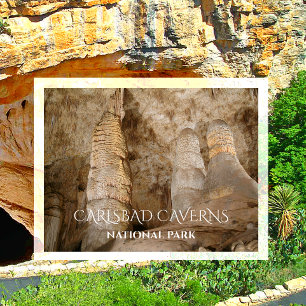 Carlsbad Caverns NP Carte postale Giant et Twin Do
