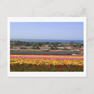 Carlsbad Flower Fiers Carte postale