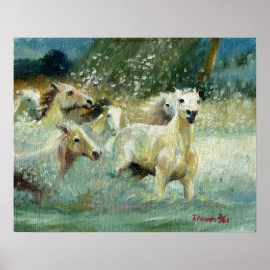 Carmargue Horse Portrait Poster (Voorkant)