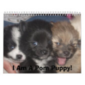 Carma's Pommeren Kalender (Hoes)