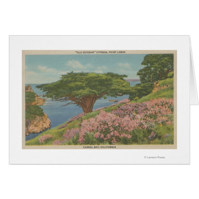 Carmel Bay, CA - Uitzicht van de "oude veteraan"-b (Voorkant Horizontaal)