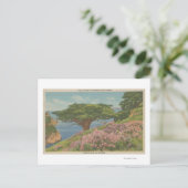 Carmel Bay, CA - Uitzicht van de "oude veteraan"-b Briefkaart (Staand voorkant)