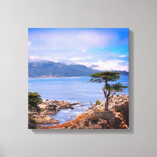 Carmel Lone Tree Streted Canvas afdrukken (Voorkant)