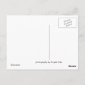 Carmel Valley Briefkaart (Achterkant)