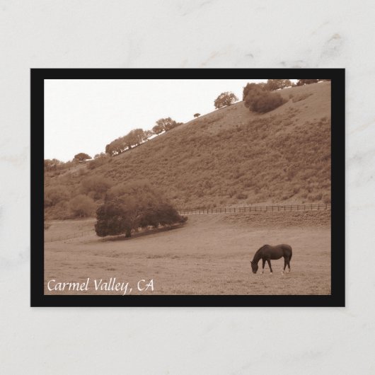 Carmel Valley Briefkaart (Voorkant)