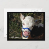 Carmel Valley, CA-Briefkaart Briefkaart (Voorkant / Achterkant)