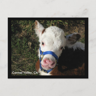 Carmel Valley, CA-Briefkaart Briefkaart