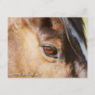 Carmel Valley Horse Eye Briefkaart