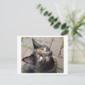 Carmen Briefkaart (Staand voorkant)