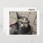 Carmen Briefkaart (Voorkant / Achterkant)