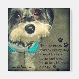 Carmine Winston III- "In een perfecte wereld." Mag Magneet