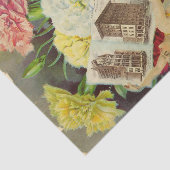 Carnaties van de  zaadcatalogus Maule, 1900 Tissuepapier (Detail)