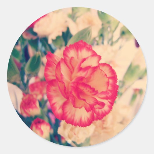 Carnation, autocollant (Devant)