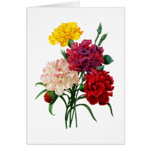 Carnation et Marigold Bouquet par Redoute