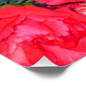 Carnation Flower Mix Perfect Poster (Coin)