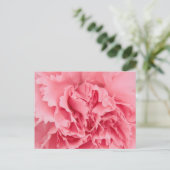 Carnation rose carte postale (Debout devant)