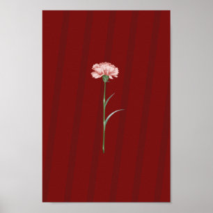 Carnation rose en rouge - Poster esthétique romant