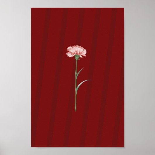 Carnation rose en rouge - Poster esthétique romant (Devant)