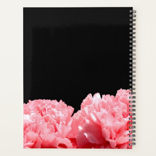 Carnations rose (Dos)