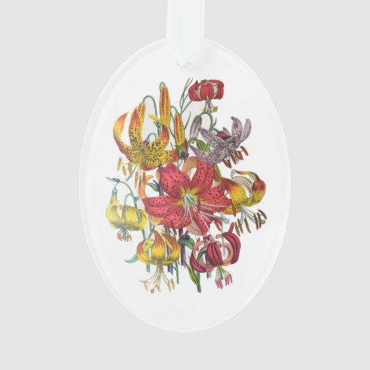 Carnaval des fleurs (dos)