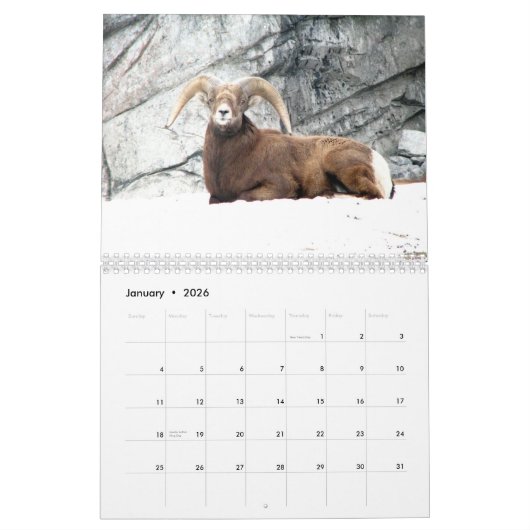 Carnaval du calendrier des animaux 2010 (Jan 2026)
