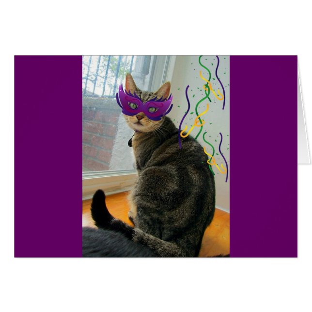 Carnaval Indigo (Devant horizontal)