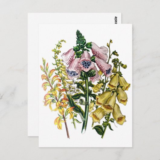 Carnaval van bloemen briefkaart (Voorkant / Achterkant)