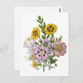 Carnaval van bloemen briefkaart (Voorkant / Achterkant)