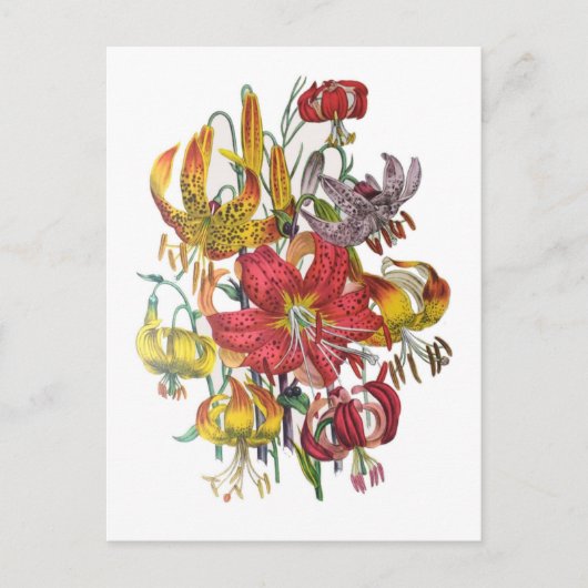 Carnaval van bloemen briefkaart (Voorkant)