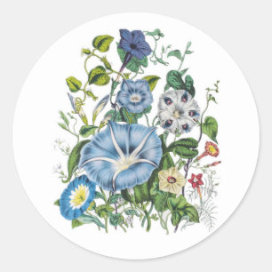 Carnaval van bloemen ronde sticker