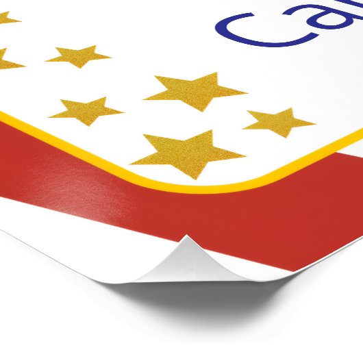 Carnaval Verjaardagsfeest Welkom Poster Perfect Poster (Hoek)