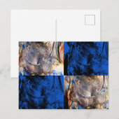 carnavalborst briefkaart (Voorkant / Achterkant)